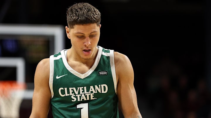 AgriPump A2 便携式农用泵